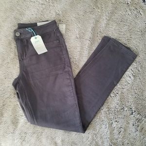 Grey Jeggings Maurices NWT
